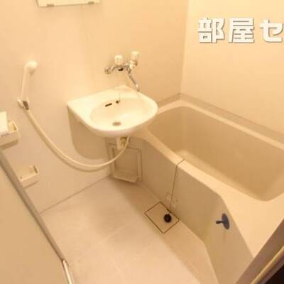 
						※反転タイプの写真です