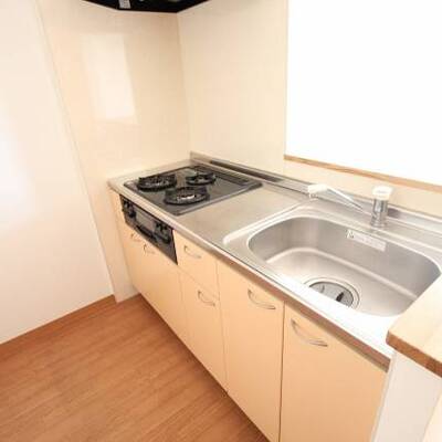 
						単身者のお部屋なのに3口コンロ！！！