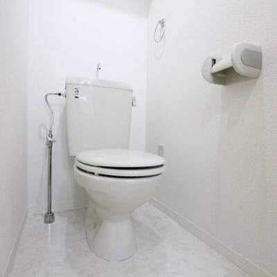 
						清潔感のある色合い