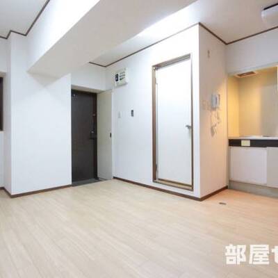 
						広く使えるお部屋です