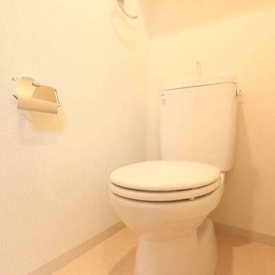 
						清潔感のある色合いです