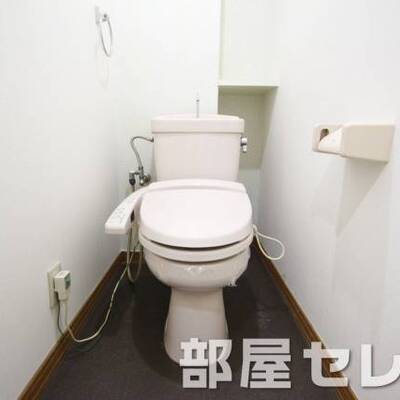 
						温水洗浄便座。