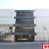 シャンテニエ