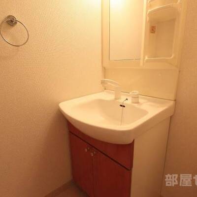 
						洗面台にも収納があります