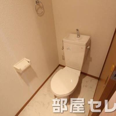 
						きれいなトイレです。