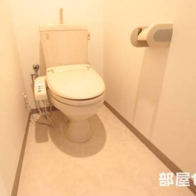 
						清潔感のある色合いです