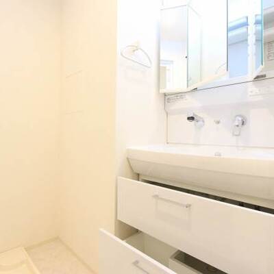 
						収納力の高い洗面台です