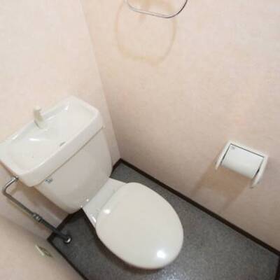 
						清潔感あるトイレです。他号室の写真です。