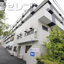 CASA NOAH 八事