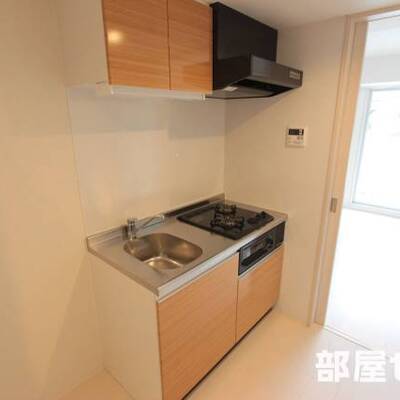 
						大きめのキッチンです。