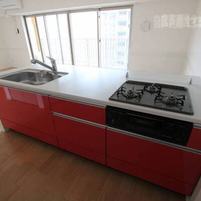 
						ディスポーザー付きのシステムキッチンです。