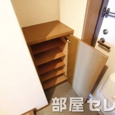 
						シューズボックスあると便利さ倍増。（イメージ写真）