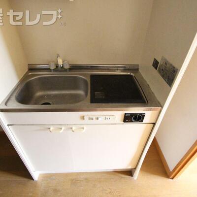 
						写真は302号室のものになります。