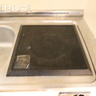 
						写真は302号室のものになります。