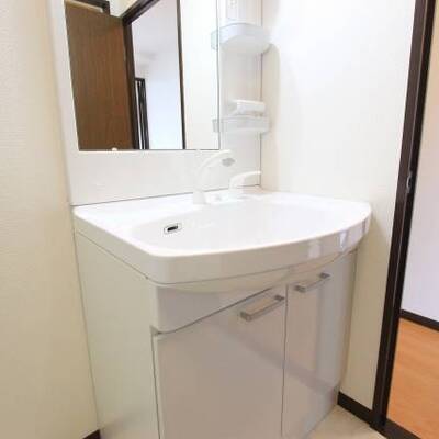 
						シャンプードレッサーもついてます