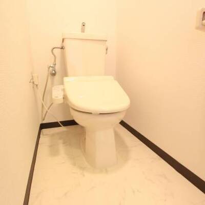 
						清潔感のある色合いです