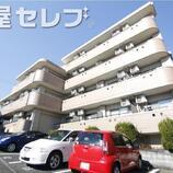 エクセル塩釜Ⅲ