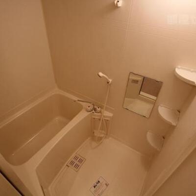 
						鏡と棚が付いているお風呂場です。