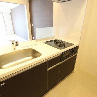 
						シンクの広さ、調理スペースなど使いやすさもいいですよ