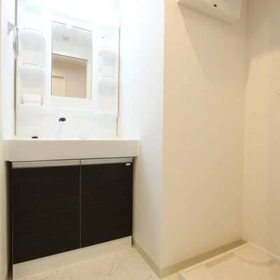 
						洗面台のカラーリングもおしゃれです