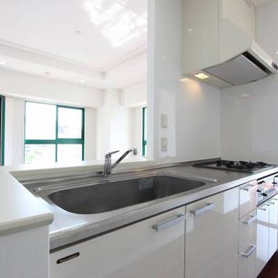 
						アイランドキッチン型