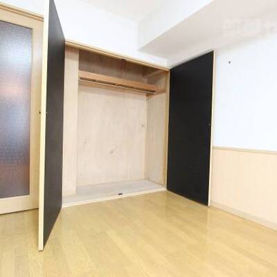 
						クローゼットは大型でたくさんしまえます