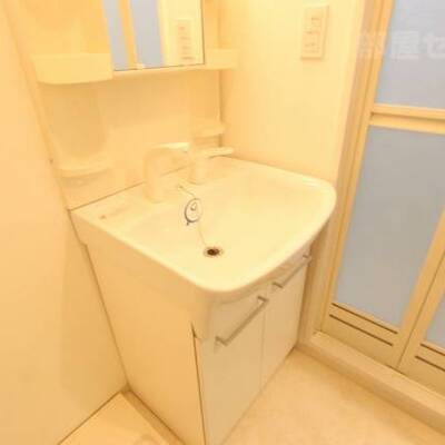 
						シャンプードレッサー付きです。