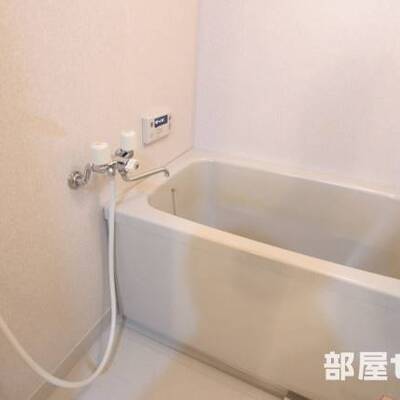 
						ゆったりバスルームです