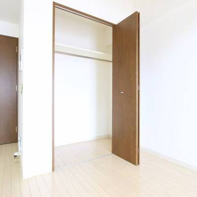
						広く使えるクローゼットです