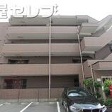 コアプリシード