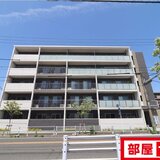 サマン・ツリー