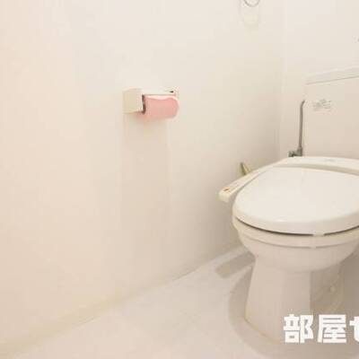 
						清潔感のある色合いです