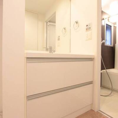 
						人気の独立洗面台