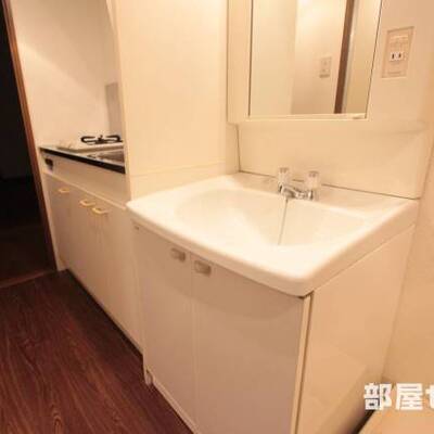 
						洗面台にも収納があります