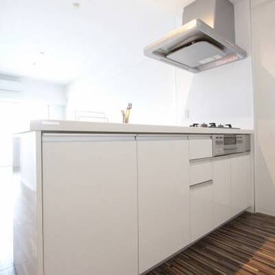 
						綺麗なシステムキッチンです