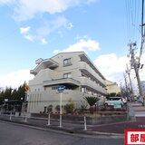 ビダフェリス加藤