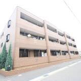 Ｓｕｎ　Ｇｒｅｅｎ　Ｍ