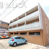 鶴羽之彩(つるはのさい)