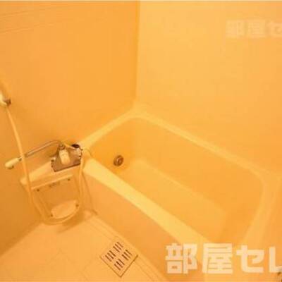 
						※別の部屋の写真を流用しています。