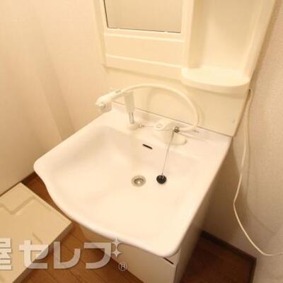 
						脱衣所には洗濯機とシャンプードレッサー。