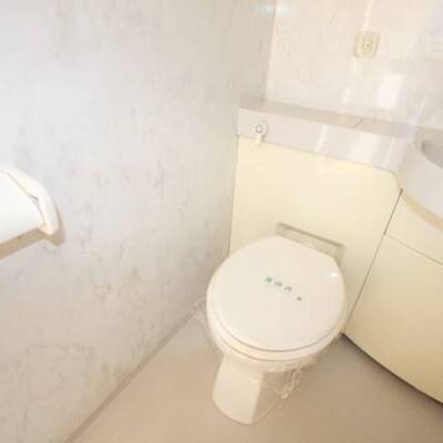 
						清潔感あふれるお手洗いです。