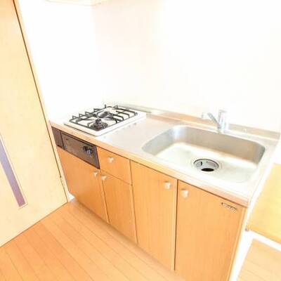 
						キッチンスペースも広々