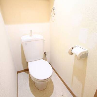 
						清潔感のある色合いです