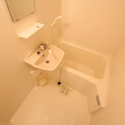 
						シンプルなバスルームです。