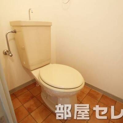 
						きれいしていますよ。