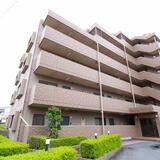 オータムライトⅢ