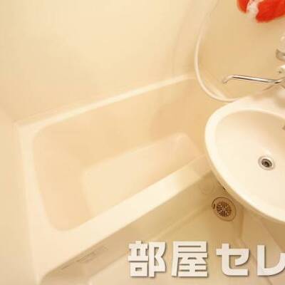 
						お風呂もきれいにしています。他号室の写真です。