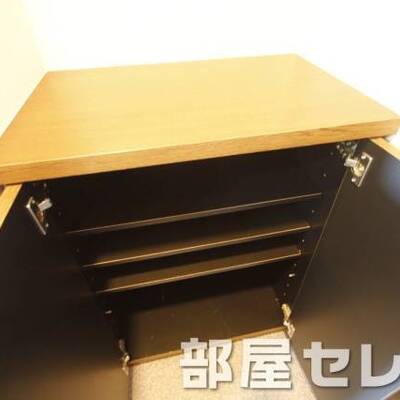 
						シューズボックス。他号室の写真です。