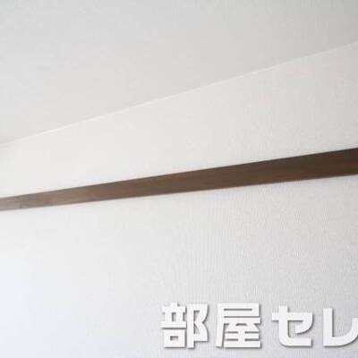 
						ハンガー掛け。他号室の写真です。