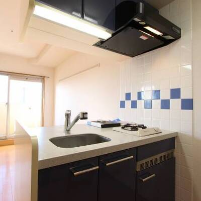 
						キッチンも使いやすい広さです